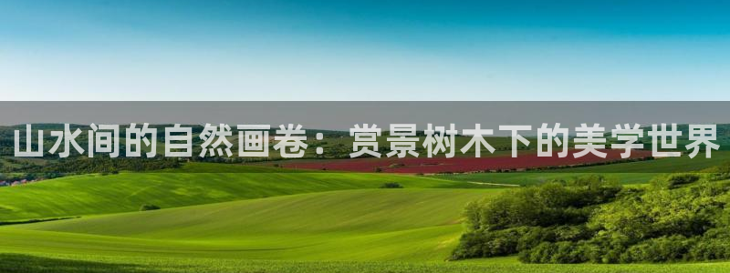 天顺娱乐释78778卧:山水间的自然画卷:赏景树木下的美学世界